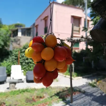 Hébergement de vacances Casa Sole Luna Torre del Greco